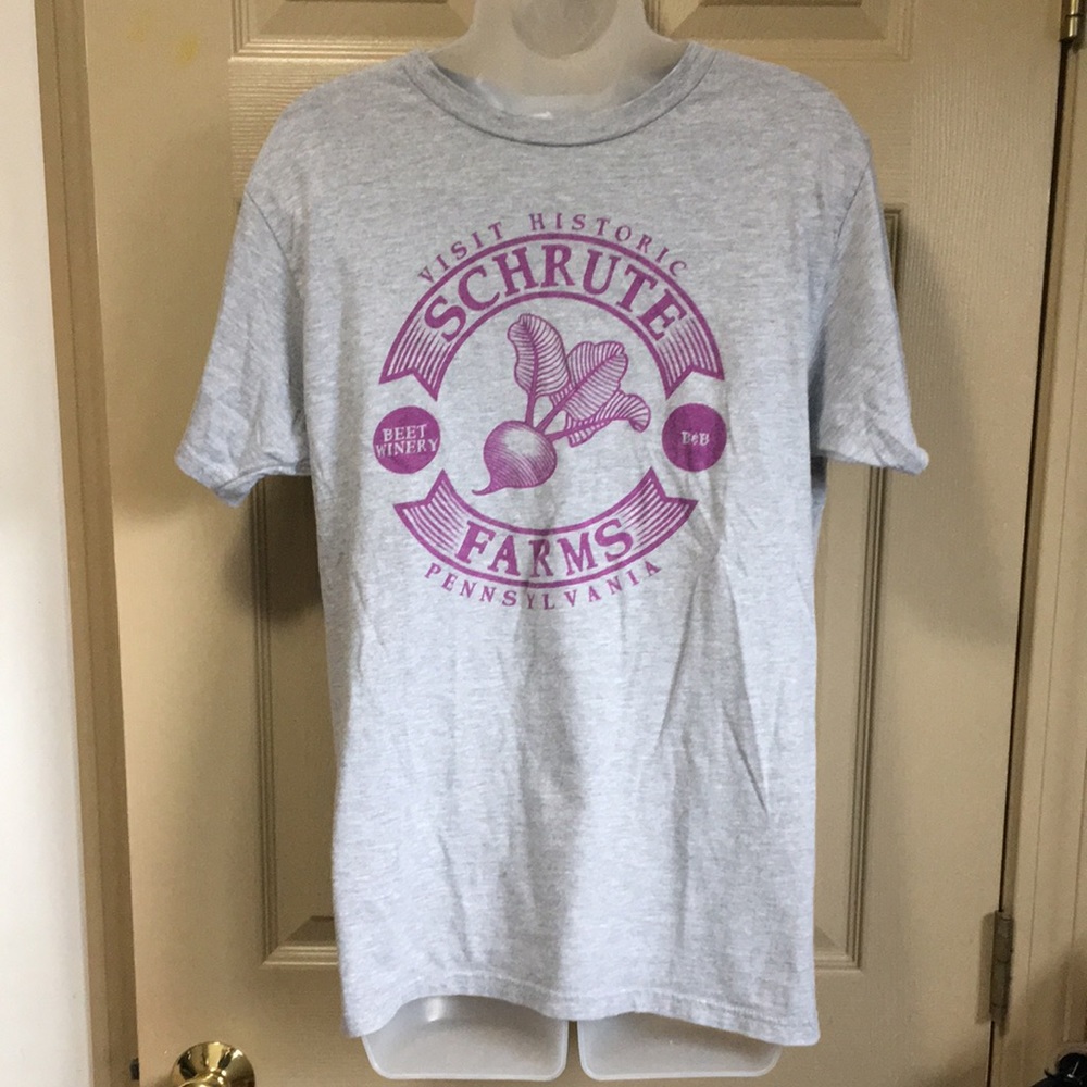 Official The Office M Visit Historic Schrute Farms B&B Pennsylvania gray T